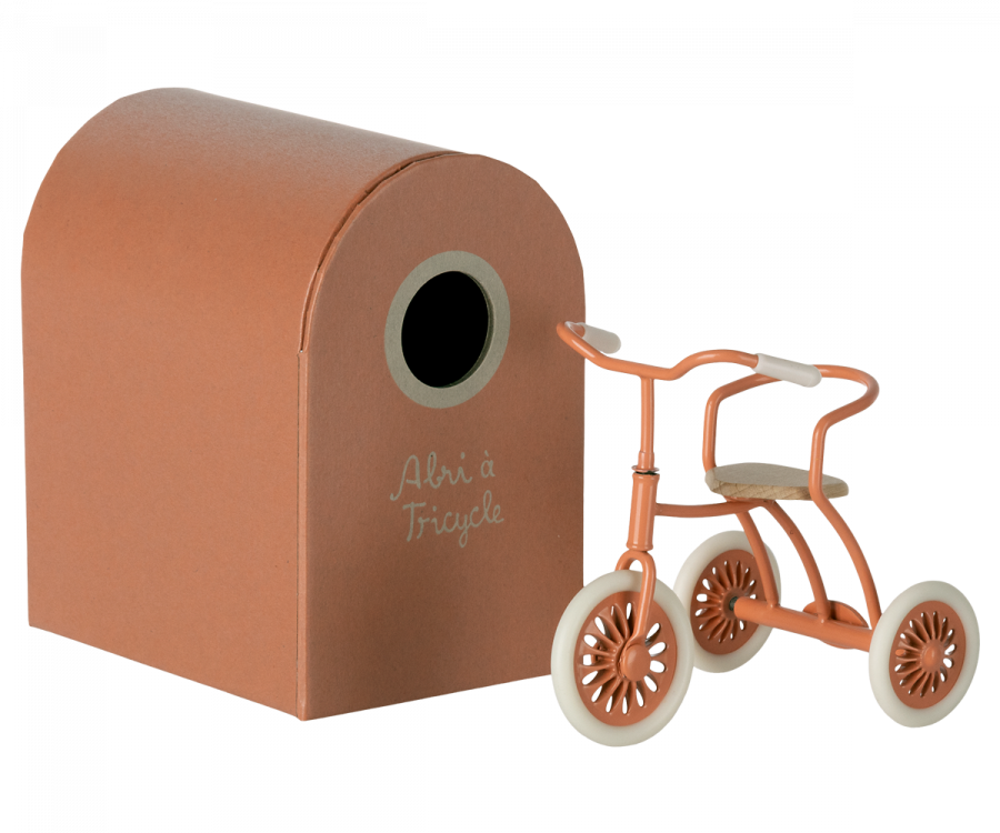 11-3104-01 ABRI A TRICYCLE CORAIL